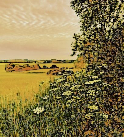 Field Edge